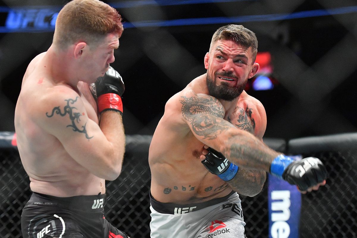 As Conor Mcgregor owns the BKFC, sometimes before. And Mike Perry is one of the dominant fighters of BKFC. Conor has a good relationship with Mike Perry. Conor support must boost the confidence of Mike Perry to another level. Let's see the interesting reply of Jake Paul when a reporter asked about the support of Conor to Mike Perry.